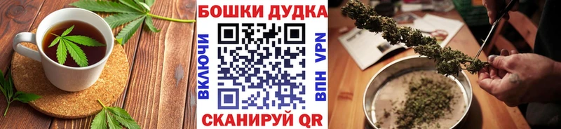 Cannafood конопля  где найти   Могоча 